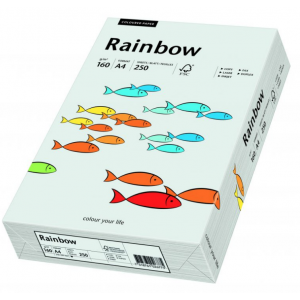 Papier ksero A4/250/160g Rainbow szary jasny